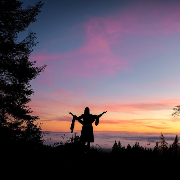 Meet your Posher, Violet - Picture 1 of 1